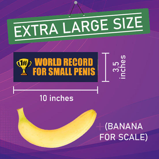 WORLD RECORD FOR SMALL PENIS Car Magnet Bundle Prank - Includes Prank Parking Ticket